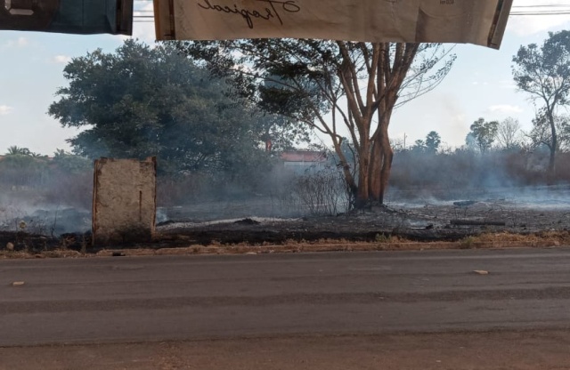 Incêndio às margens de rodovia assusta moradores em Campo Maior